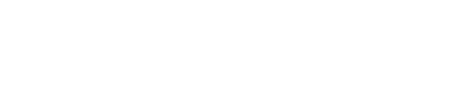 BetBhai9 Logo